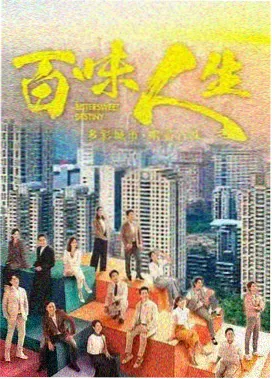 www视频热播剧《雾港航线》海报